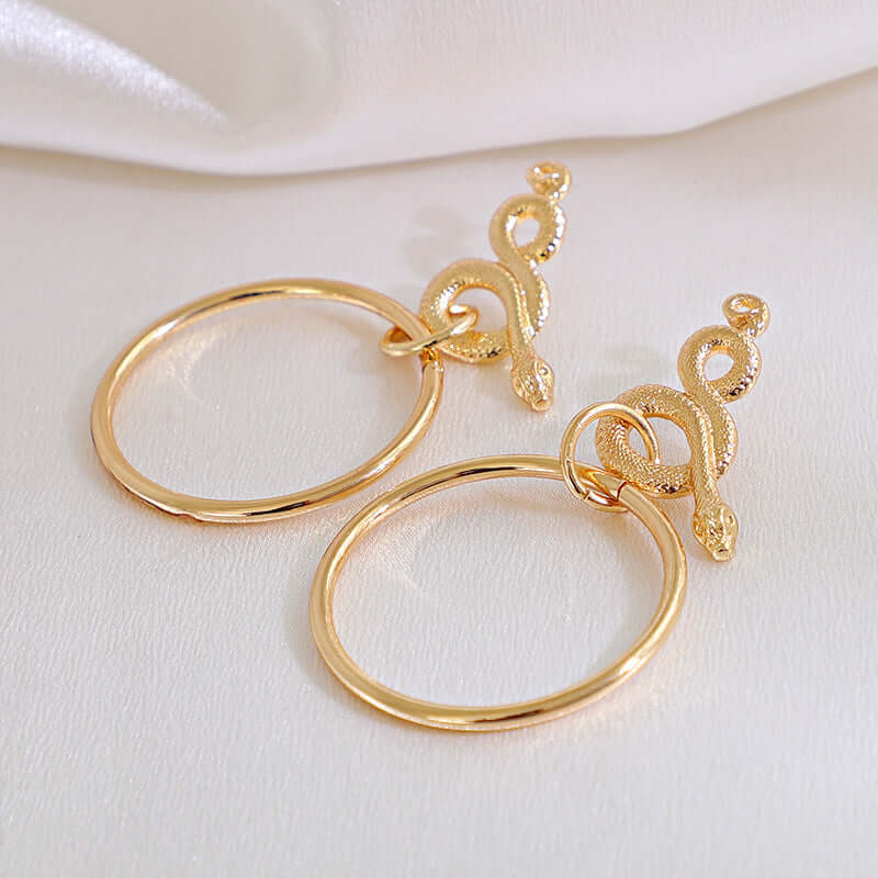 Circle Geometric Snake Earrings