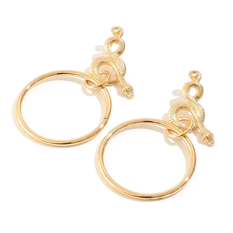 Circle Geometric Snake Earrings