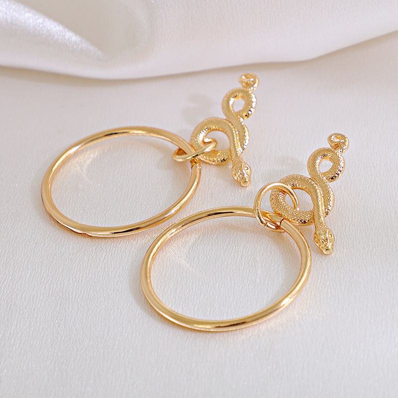 Circle Geometric Snake Earrings