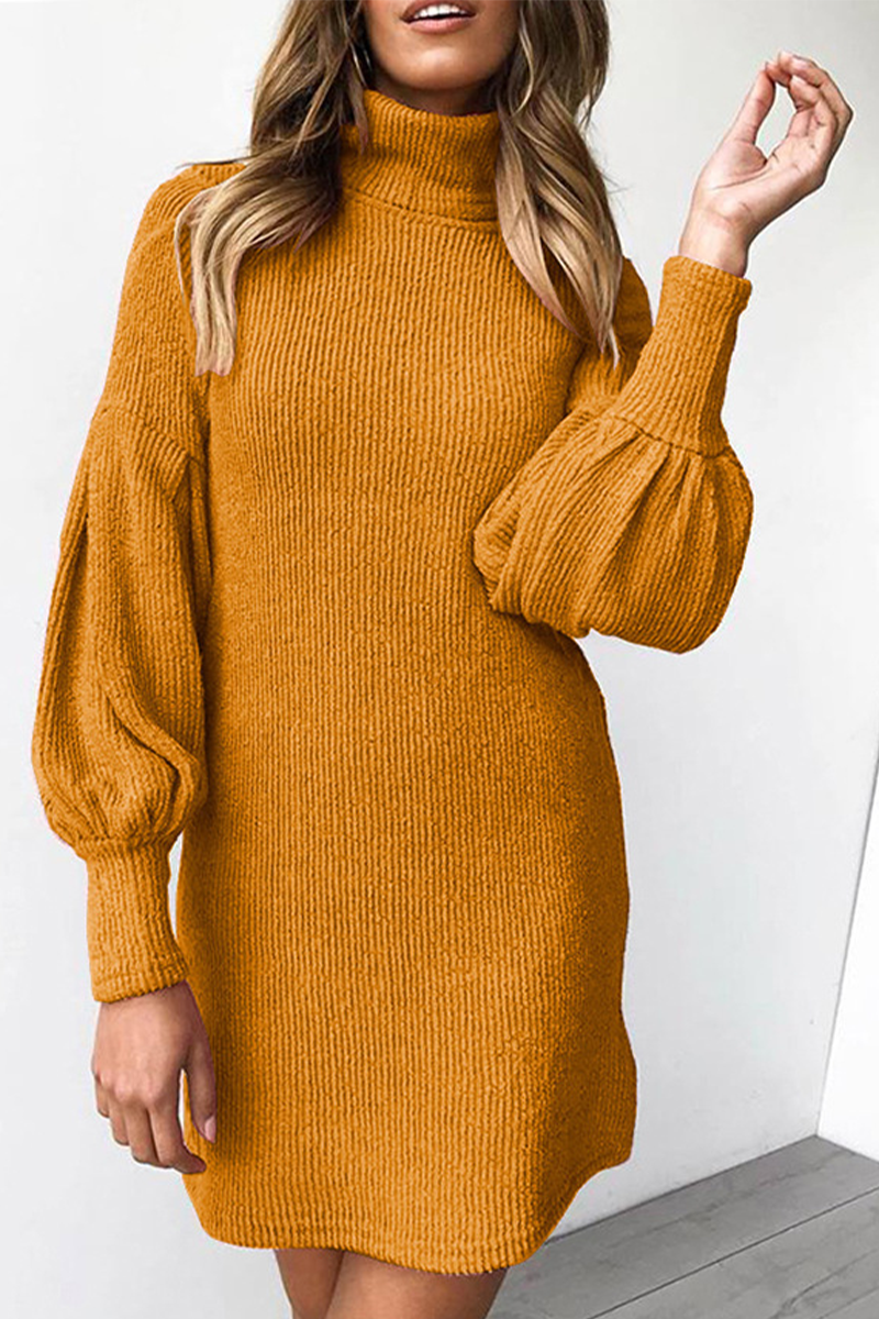 Vanessa - casual half a turtleneck straight dress