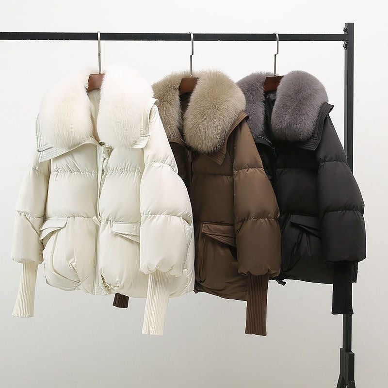 Elegant and versatile windbreaker jacket for women