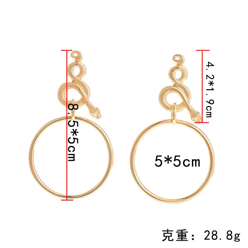 Circle Geometric Snake Earrings