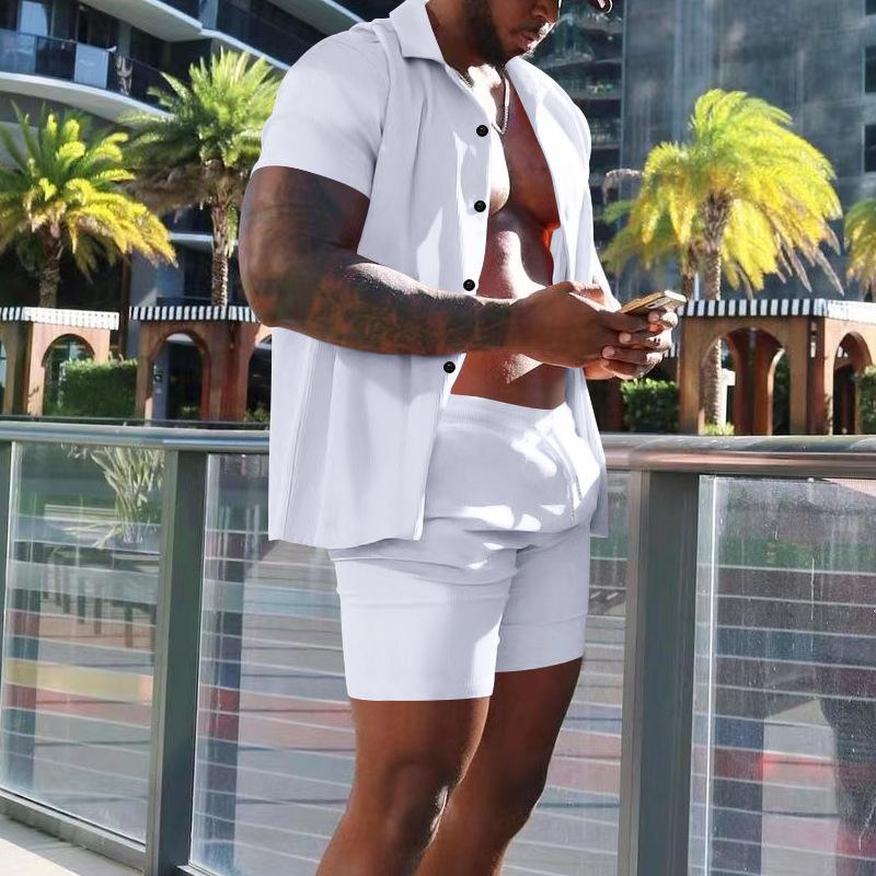 Men's Summer Lapel Short-sleeved Shorts Two-piece Casual Set 78027599L