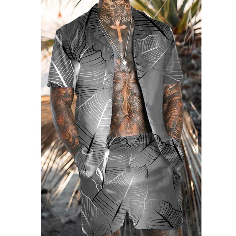 Men's Hawaiian Matching Set Print Two Piece Set 34633530L